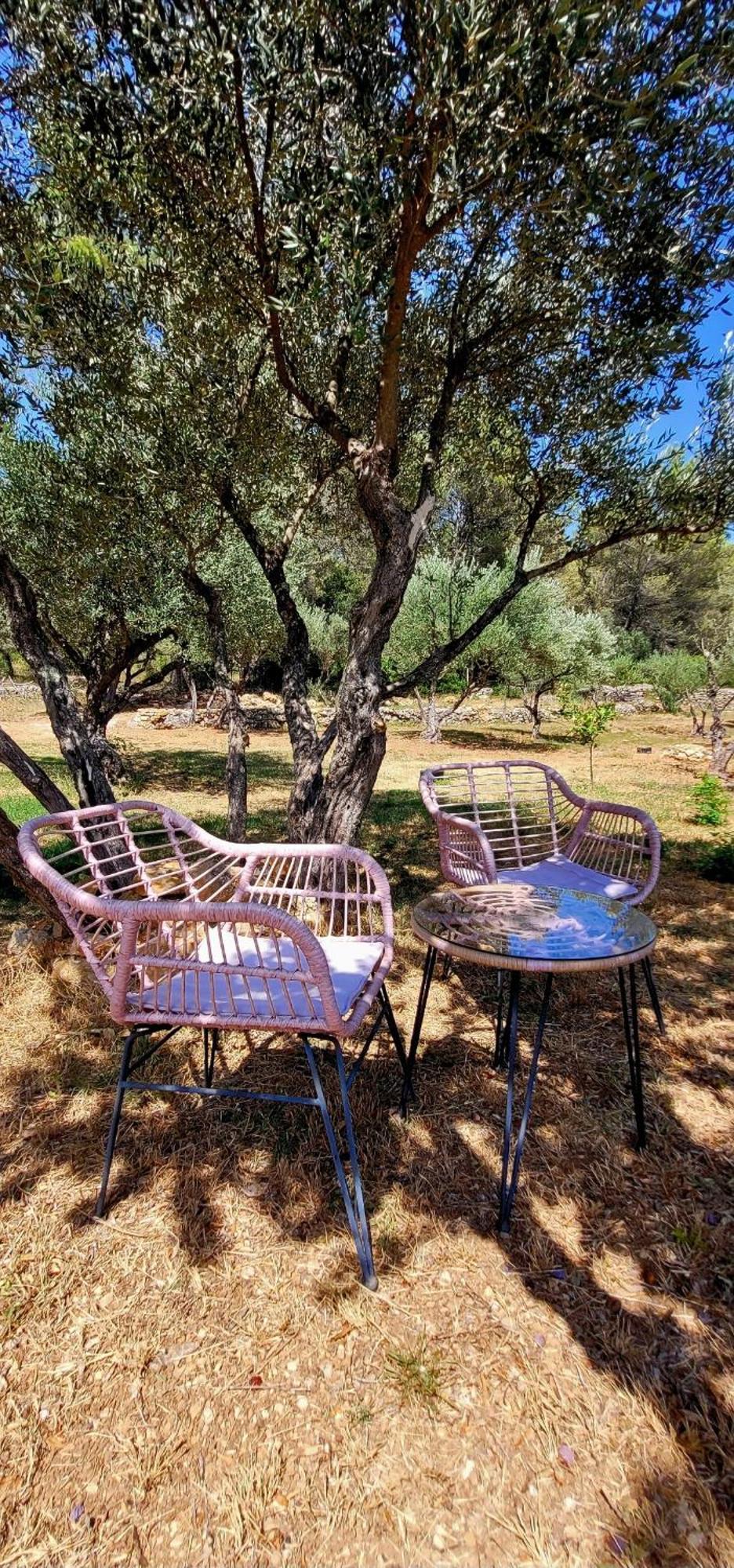 Au Petit Bonheur Villa Carnoules  Dış mekan fotoğraf
