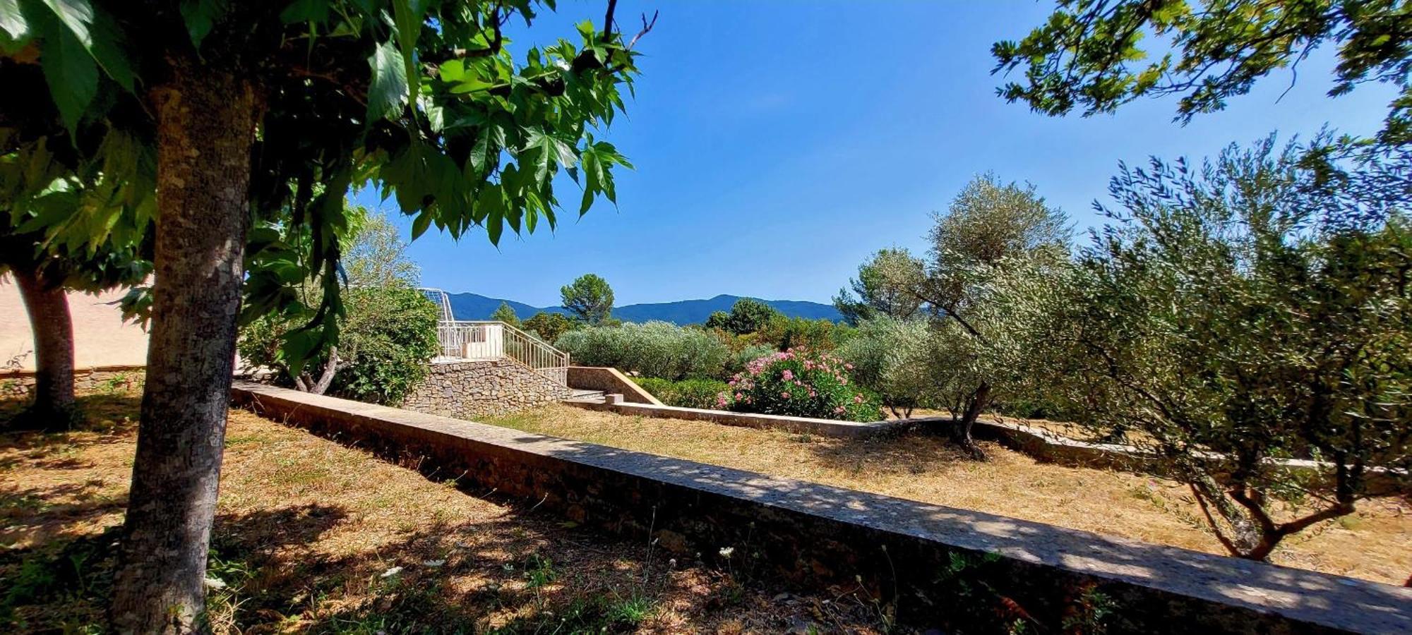 Au Petit Bonheur Villa Carnoules  Dış mekan fotoğraf
