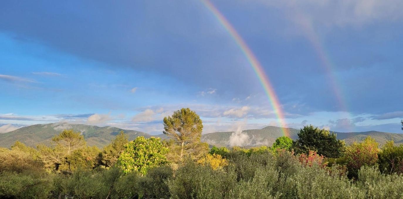 Au Petit Bonheur Villa Carnoules  Dış mekan fotoğraf