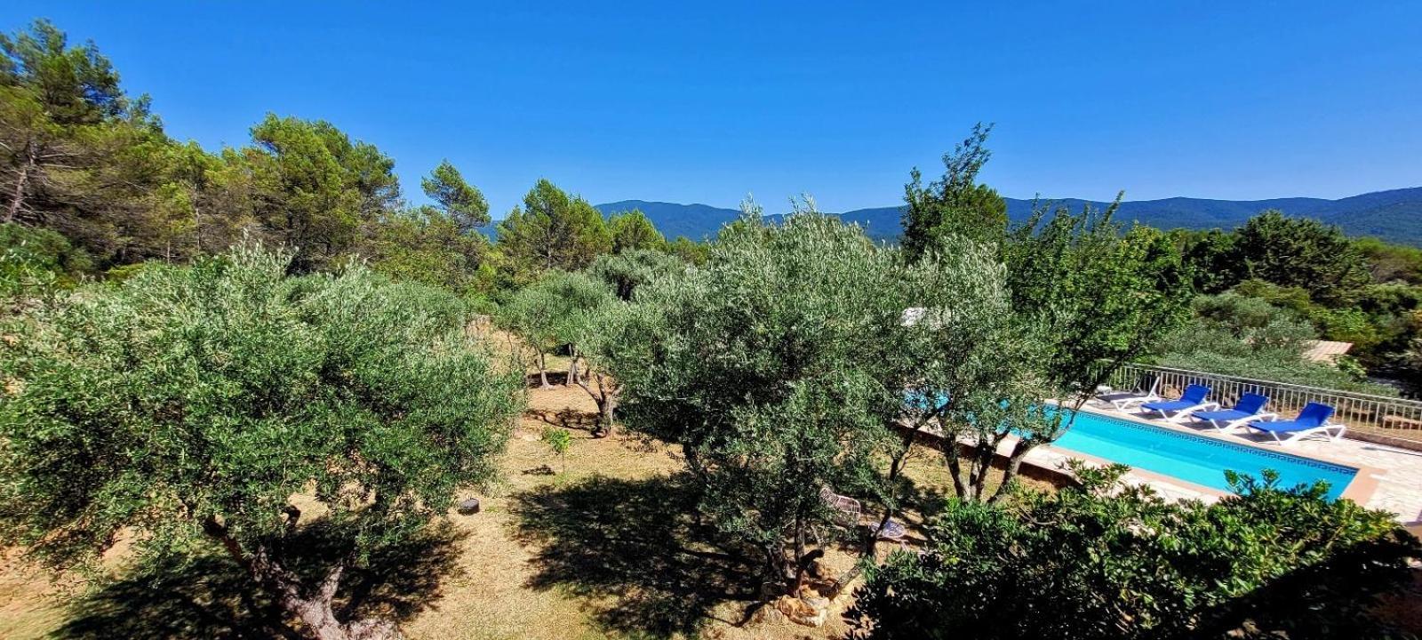 Au Petit Bonheur Villa Carnoules  Dış mekan fotoğraf