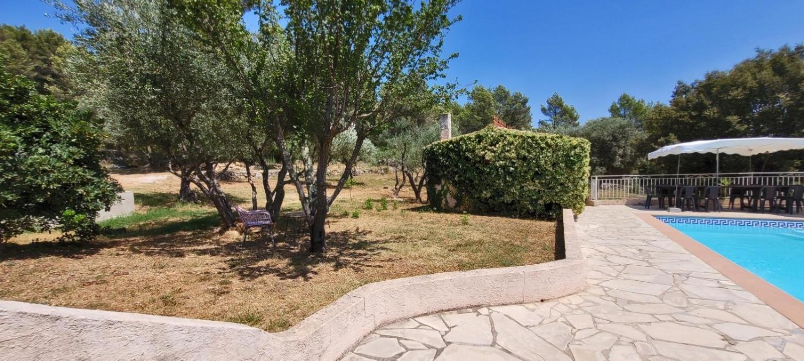 Au Petit Bonheur Villa Carnoules  Dış mekan fotoğraf